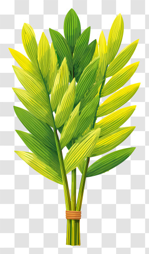 Palm Branch Lulav - Bunch Of Green Leaves Transparent PNG