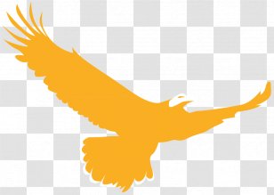 Golden Eagle Logo Bird - Symbol Transparent PNG