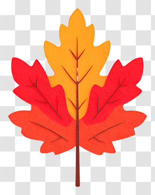 Autumn Maple Leaf - Colorful Autumn Leaf Transparent PNG