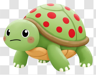 Cartoon Turtle - Green Cartoon Turtle Illustration Transparent PNG