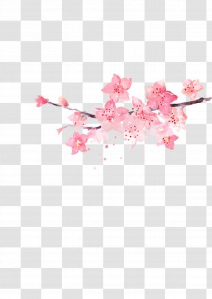 Flower Pink - Heart - Corner Decoration Transparent PNG