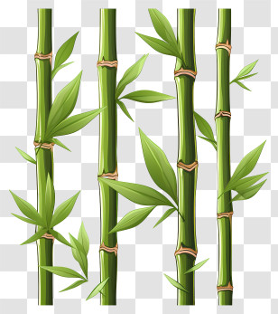 Doodle Style Bamboo Stem - Cluster Of Vibrant Bamboo Stalks Transparent PNG