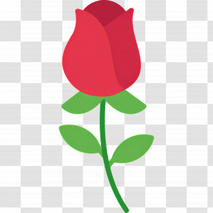 Rose Flower - Red Rose Flower Illustration Transparent PNG
