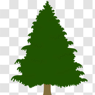 Tree - Green Pine Tree Illustration Transparent PNG