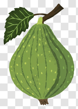 Green Fruits - Green Fruit With Leaf Transparent PNG