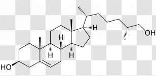 Anabolic Steroid Metenolone Acetate Allopregnanolone - Agonist - Cholestrol Transparent PNG