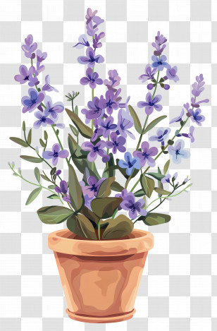 Lilac Flowers - Potted Lavender Plant Illustration Transparent PNG