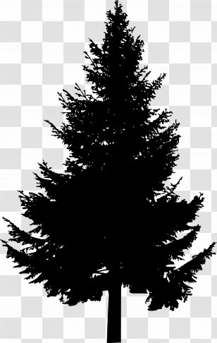 Pine Tree Silhouette Clip Art - Sky Transparent PNG