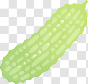 Cartoon - Green Bitter Melon Illustration Transparent PNG