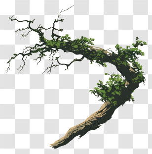 Branch And Moss - Twisting Tree Branch With Green Leaves Transparent PNG