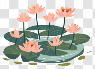 Lotus Pond - Pink Water Lilies Floating On A Pond Transparent PNG
