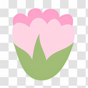Pink Flower - Pink Tulip With Green Leaves Transparent PNG