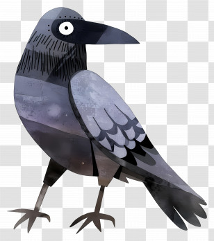 Cartoon Raven - Cartoon Crow Transparent PNG