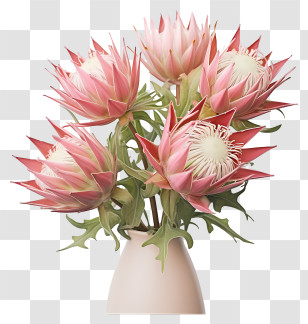 3d Rendering - Pink Protea Flowers In Vase Transparent PNG