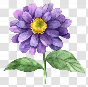 Dahlia Flower - Purple Daisy Flower With Green Leaves Transparent PNG