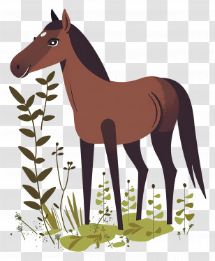 Horse - Illustration Of A Brown Horse Transparent PNG