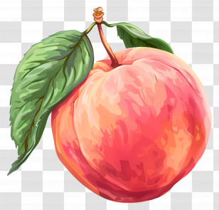 Peach - Realistic Juicy Peach On A Branch Transparent PNG
