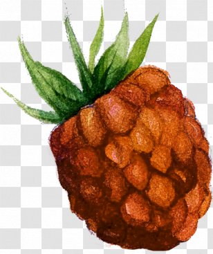 Watercolor Painting Raspberry Fruit Transparent PNG