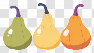 Gourds - Three Colorful Gourds Transparent PNG