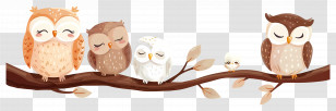 Cute Owls - Sleeping Cartoon Owls On A Branch Transparent PNG