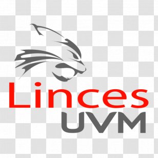Universidad Del Valle De MÃ©xico Lomas Verdes OrganizaciÃ³n Nacional Estudiantil FÃºtbol Americano Lynx Ciudad Universitaria - Mexico Transparent PNG