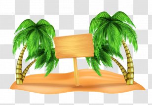 Beach Clip Art - Tree - Coconut On The Picture Material Transparent PNG
