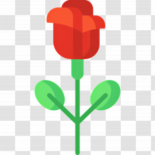 Rose Flower - Red Rose Illustration With Green Leaves Transparent PNG