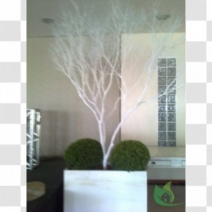 Flowerpot Glass Houseplant Transparent PNG