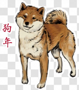 Dog Breed Siberian Husky East Laika West Greenland - Chinese Transparent PNG