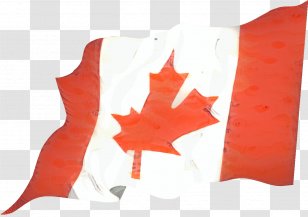 Flag Of Canada Montreal Image - Black Maple Transparent PNG