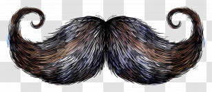 Moustache - Curled Mustache Illustration Transparent PNG