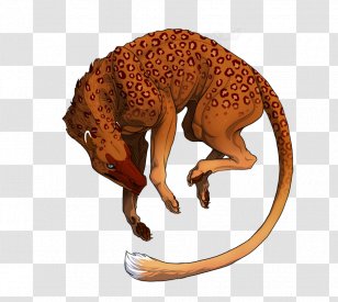 Big Cat Terrestrial Animal Fauna Orange S.A. - Highclass Background Transparent PNG