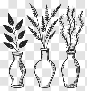 Flower Arrangements - Monochrome Line Art Vases With Plants Transparent PNG