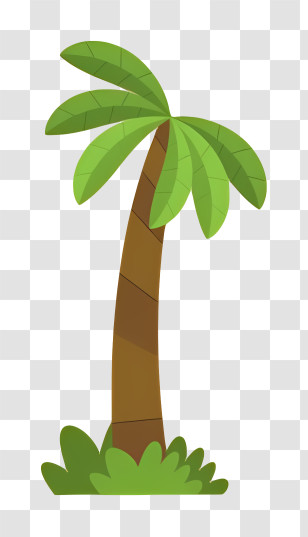 Palm Tree - Cartoon Tropical Palm Tree Illustration Transparent PNG