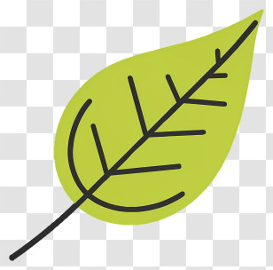 Leaf - Green Leaf Illustration With Veins Transparent PNG