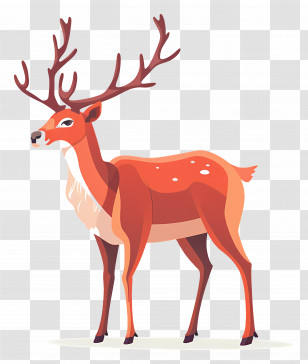 Reindeer - Illustration Of A Majestic Deer With Antlers Transparent PNG