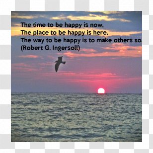 Live Life To The Fullest Because Everything Else Is Uncertain Advertising Poster Towel Design - Shore - Happy Time Transparent PNG