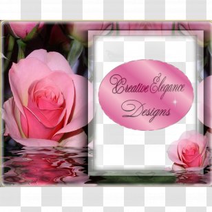 Garden Roses Wisdom Floral Design Greeting & Note Cards Petal - Creative Invitation Transparent PNG