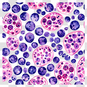 Purple Background - Abstract Circles Pattern Transparent PNG