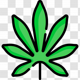 Cannabis Leaf - Green Cannabis Leaf Illustration Transparent PNG