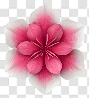 Flower Icon Png - Beautiful Pink Flower In Full Bloom Transparent PNG