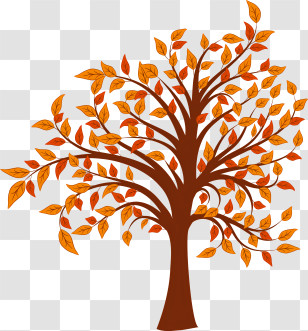 Tree - Autumn Tree With Orange Leaves Illustration Transparent PNG