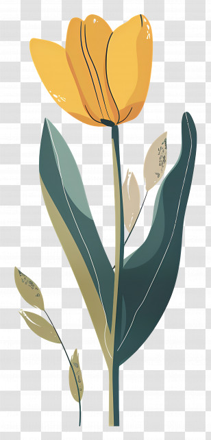 Yellow Tulip - Yellow Tulip Flower Artwork Transparent PNG