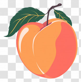 Peach - Orange Peach With Leaves Illustration Transparent PNG