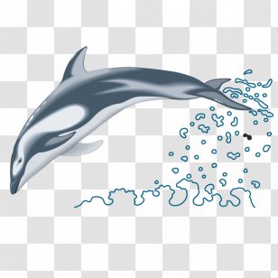 Common Bottlenose Dolphin Clip Art Transparent PNG