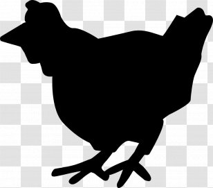 L214 Sheep Intensive Animal Farming Organization - Fauna Transparent PNG