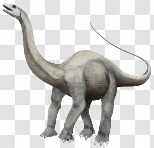 Apatosaurus Brontosaurus Brachiosaurus Triceratops Argentinosaurus - Tail - Dinosaur Transparent PNG