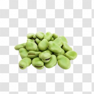 Broad Bean Common Food Pea - Cuisine - Lima Transparent PNG