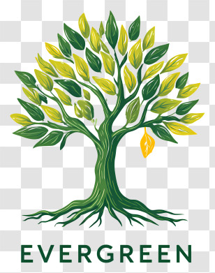 Evergreen Logo - Evergreen Tree Brand Logo Transparent PNG