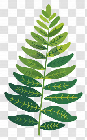 Fern Leaf - Simple Green Fern Leaf Illustration Transparent PNG